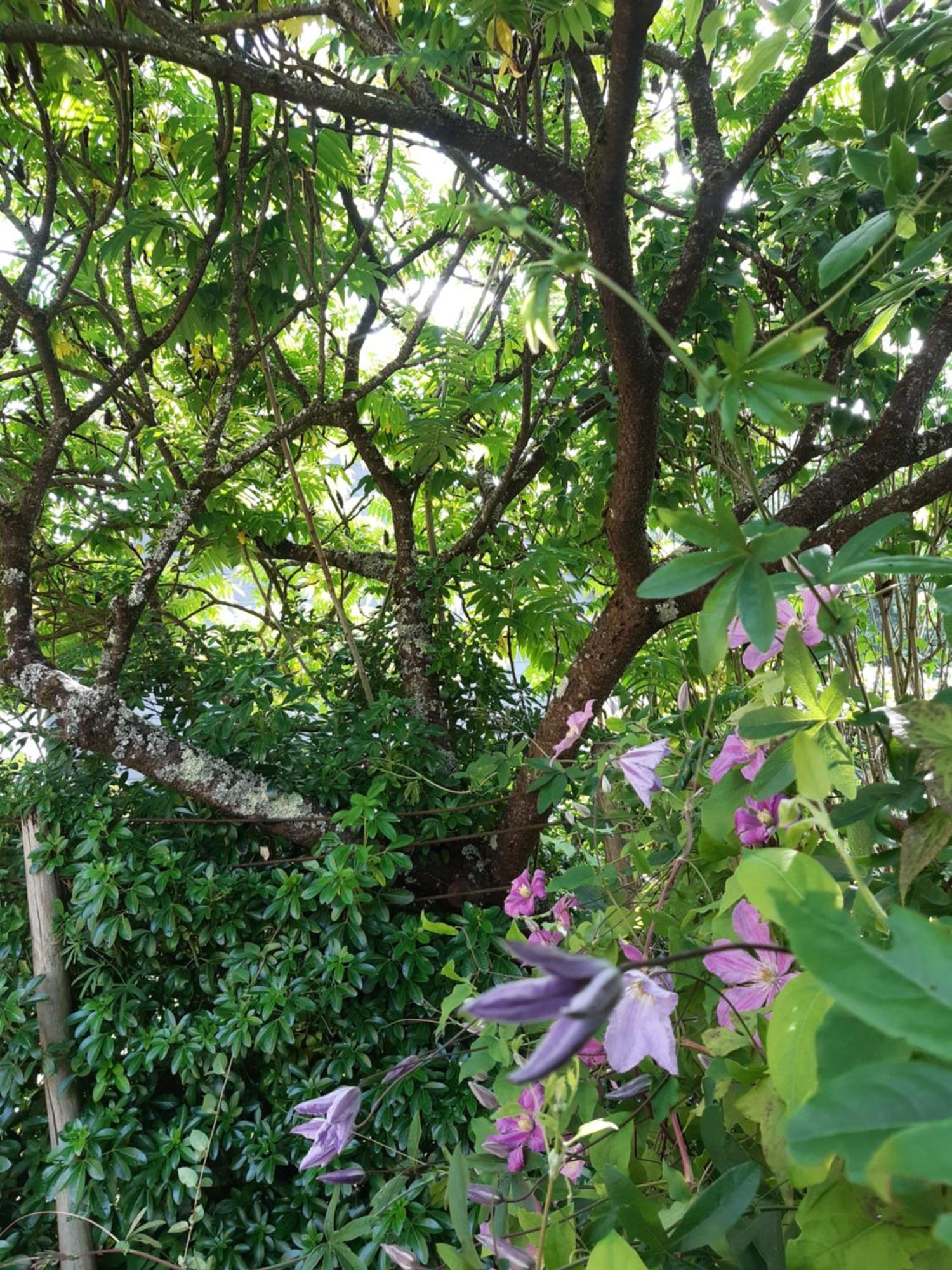 La Maison Paisible Guemene-Penfao ภายนอก รูปภาพ